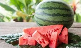 小巷吃瓜,揭秘民间趣事，品味生活百态