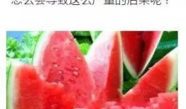 我们宁夏人吃瓜都这样吃,独特吃瓜文化一瞥