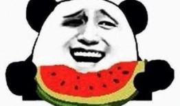 新晋吃瓜群众,揭秘娱乐圈幕后风云