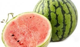 二阳吃的瓜,揭秘瓜农与瓜商的甜蜜博弈