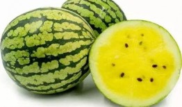 薛城吃瓜,揭秘当地特色美食背后的故事