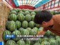 赴京吃瓜,一场赴京吃瓜的奇妙之旅