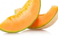 蚂蚱吃哈密瓜,一场意外的味蕾邂逅