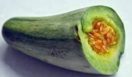 孕妇吃牛角瓜,牛角瓜助力孕妇健康营养