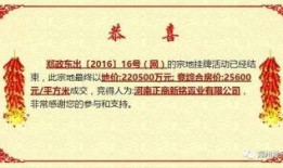 btok电报吃瓜群,一场网络社交的狂欢盛宴