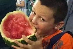 幼儿吃瓜姿势奇葩,幼儿吃瓜姿势大盘点