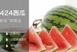 吃瓜的稿子,吃瓜群众视角下的明星幕后故事