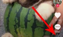 吃瓜啦抖音歌,揭秘背后故事与创作灵感