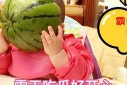 吃瓜玩具的视频,趣味互动，寓教于乐新体验