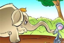 小老鼠吃瓜视频大全,萌趣横生的欢乐时光