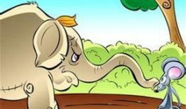 小老鼠吃瓜视频大全,萌趣横生的欢乐时光