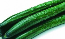 今日宜吃瓜章玉,章玉带你领略美食与娱乐的完美融合