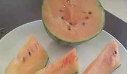 重复吃瓜,重复吃瓜的趣味与反思