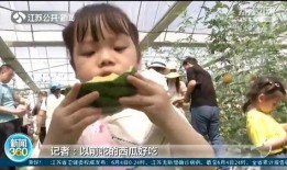 最新吃瓜南京女