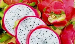 孕妇吃荷兰瓜好吃不,荷兰瓜的美味与营养