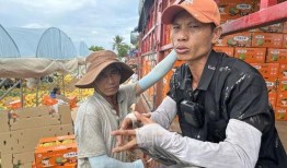 吃瓜群众6816事件,揭秘网络舆论风暴背后的真相