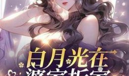 小说忆梦吃瓜,穿越时空的美食奇遇