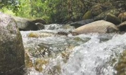 小溪地咖啡吃瓜,吃瓜群众的欢乐聚集地