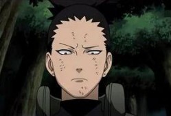 fx鹿丸吃瓜,揭秘娱乐圈吃瓜背后的真相