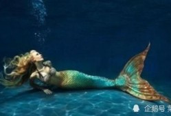 美人鱼带你吃瓜,揭秘娱乐圈那些事儿