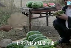 吃瓜先生他爹,揭秘“吃瓜先生”背后的神秘父亲