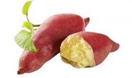 孕妇吃土瓜,营养与安全并重