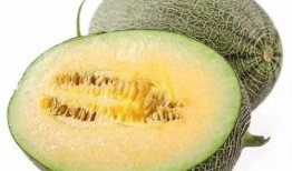 甜包瓜如何吃,甜包瓜的多重美味吃法探索