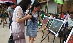 佛山吃瓜群众事件,网络舆论的风暴与反思