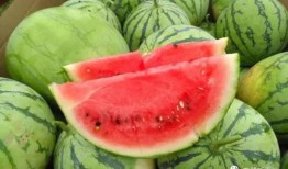 今日宜吃瓜章玉,章玉带你领略美食与娱乐的完美融合