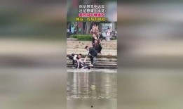 吃瓜群众谢幕视频播放,吃瓜群众视频播放背后的故事