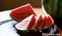 吃瓜的老黑,吃瓜老黑的趣味生活点滴