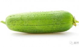 夏天吃的哪些瓜,盘点消暑解渴的时令瓜类