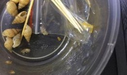 喝雪碧吃哈密瓜会中毒吗