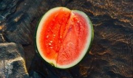 温酒 吃瓜,共度悠闲时光