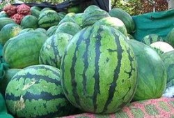 苏北老瓜怎么吃,传统美食的传承与创新