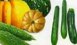 吃瓜的老黑,吃瓜老黑的趣味生活点滴