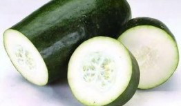 热可可吃瓜,瓜果飘香，尽享夏日悠闲时光