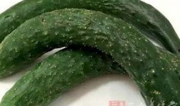 吃瓜可以喝药吗,吃瓜同时可否服药？揭秘瓜果与药物相克真相