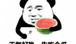吃瓜专用表情包图片,揭秘吃瓜专用表情包的火爆之谜