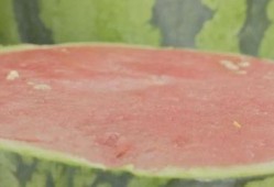 吃瓜福利中心,带你领略瓜界盛宴背后的秘密