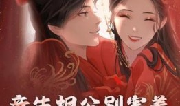 小说忆梦吃瓜,穿越时空的美食奇遇