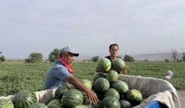 瑞幸收割吃瓜,一场资本市场的狂欢盛宴