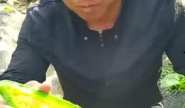 和好友吃瓜,吃瓜聊翻天！