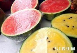 桃子吃瓜图片,一场视觉盛宴