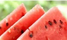 吃瓜网站黑科,吃瓜网站背后的真相与争议