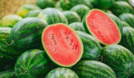 吃瓜会长吃瓜,揭秘娱乐圈背后的那些事儿