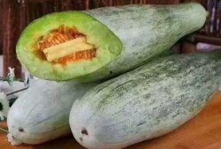 甜包瓜如何吃,甜包瓜的多重美味吃法探索