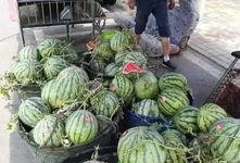 金乡孙庄吃瓜事件