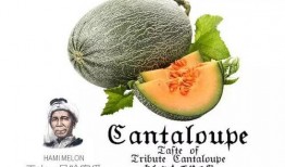 吃瓜群众果咖,揭秘娱乐圈幕后故事