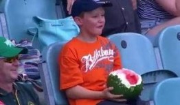 幼儿吃瓜姿势奇葩,幼儿吃瓜姿势大盘点